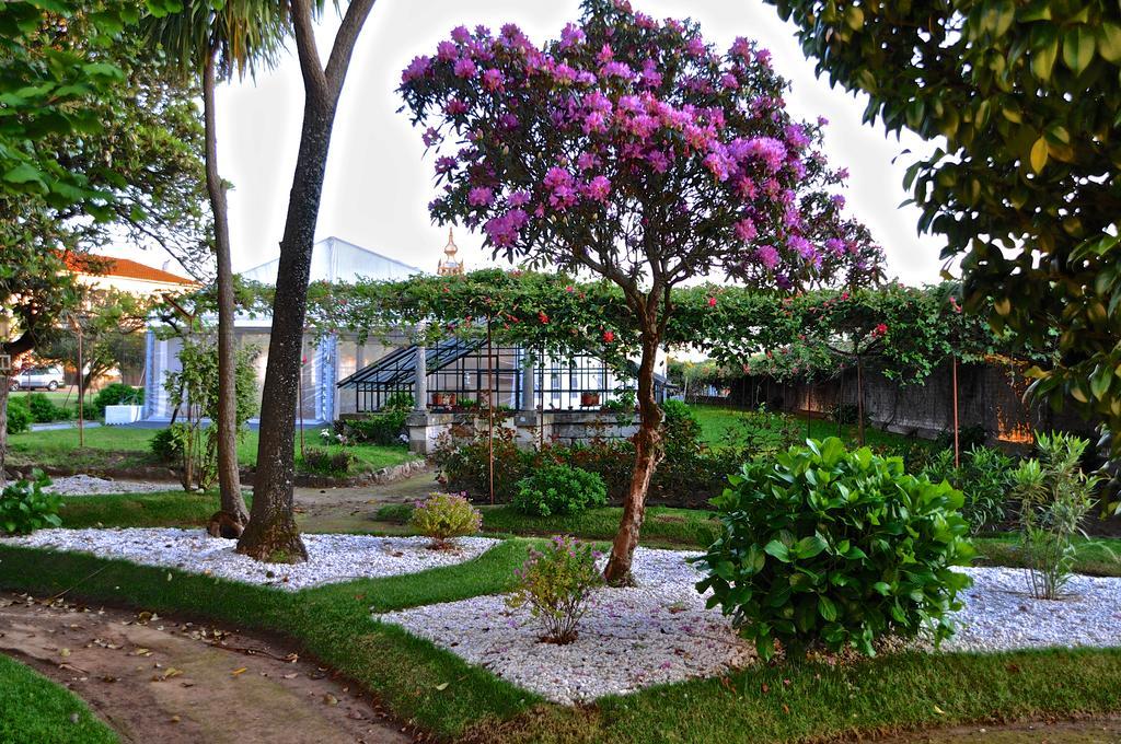 Palacete Villa Idalina Caminha Bagian luar foto